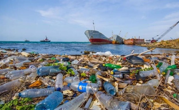 东盟国家代表参加减少亚太地区塑料污染创新挑战赛 hinh anh 1