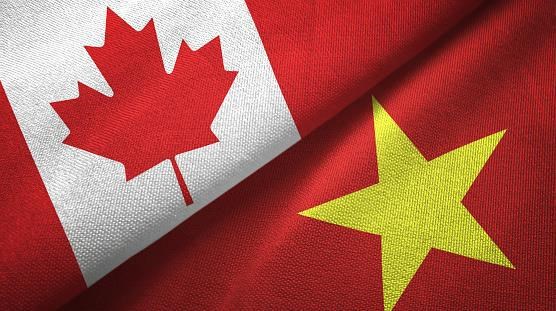 越南与加拿大双边防务磋商会以视频形式在河内举行 hinh anh 1
