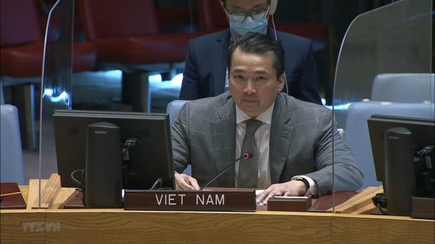越南与联合国安理会：越南坚支持和解并结束刚果民主共和国的暴力 hinh anh 1