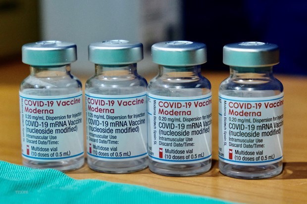 越南外交部例行新闻发布会：越南希望各国加强新冠疫苗信息共享 hinh anh 1