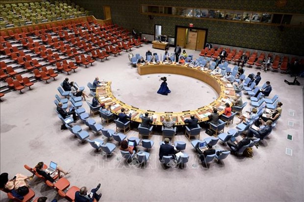 越南与联合国安理会：越南敦促解决西非和萨赫勒地区的安全和人道主义挑战 hinh anh 2
