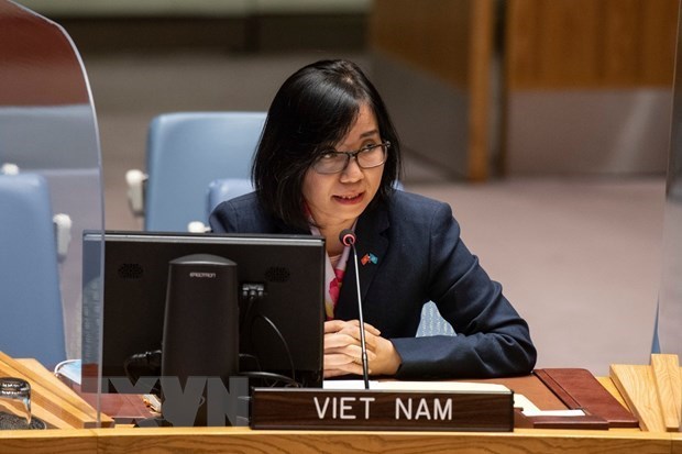 越南与联合国安理会：越南敦促解决西非和萨赫勒地区的安全和人道主义挑战 hinh anh 1