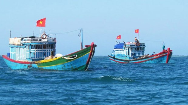 越南海洋岛屿：严惩在国外海域非法捕鱼的渔船 hinh anh 1