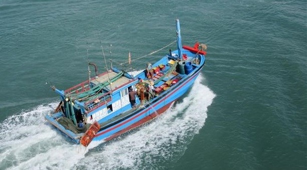 越南海洋岛屿：严惩在国外海域非法捕鱼的渔船 hinh anh 2
