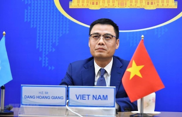 越南一向重视并充分参与联合国人权理事会普遍定期审议程序 hinh anh 1