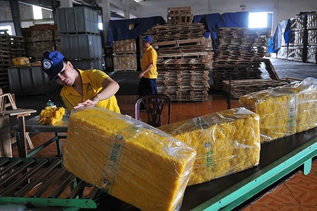 2021年前5月越南橡胶对印度出口额实现翻倍增长 hinh anh 1