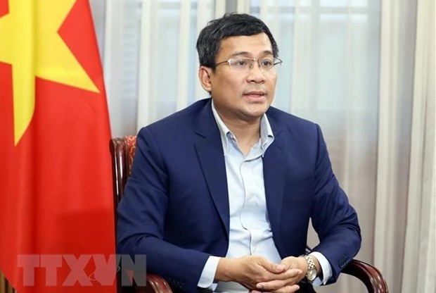 越南国家主席将出席APEC领导人非正式会议：彰显越南在APEC合作中的责任但当 hinh anh 2