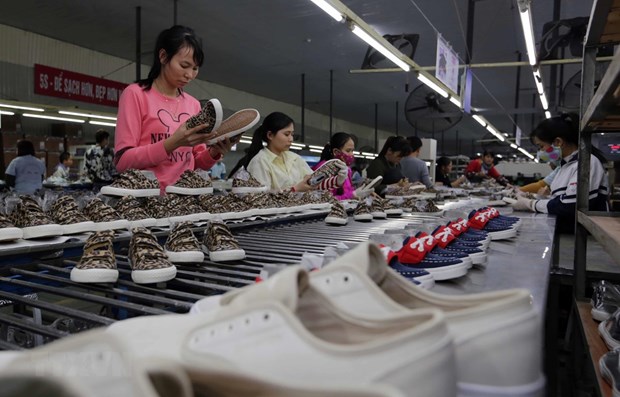 2021年皮革制鞋出口有望达230亿美元 hinh anh 1