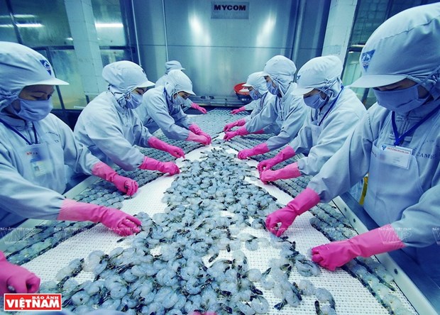 着力纾解困难 力争实现全年虾类产品出口额达逾40亿美元 hinh anh 2