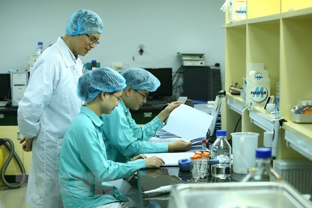 越南拟成立国家疫苗研究院 hinh anh 1