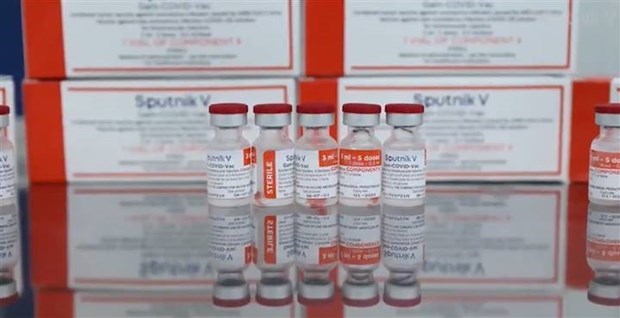 俄罗斯卫星五号疫苗开始在越南生产 hinh anh 1