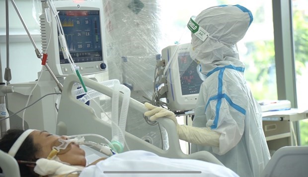 越南将设立5个国家新冠肺炎疫情重症监护中心 hinh anh 2