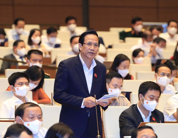 越南第十五届国会第一次会议：同步有效开展受新冠肺炎疫情影响的劳动者扶助工作 hinh anh 1