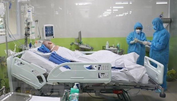 胡志明市把精力集中在治疗方面 最大限度减少新冠死亡病例 hinh anh 1