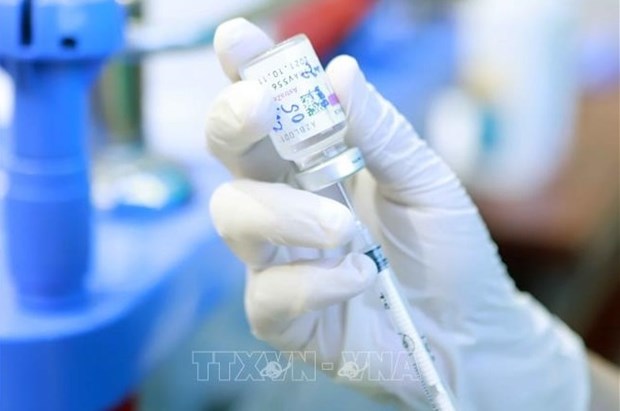 英国和捷克政府向越南提供新冠疫苗援助 hinh anh 1