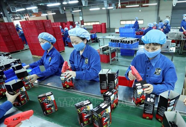 EVFTA—发挥越南企业潜力的催化剂 hinh anh 2