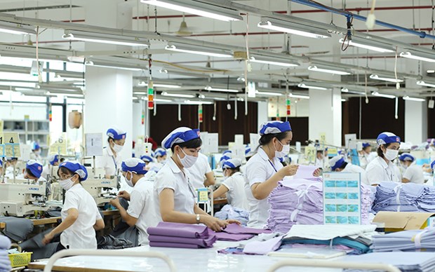 越南纺织品服装出口额同比增长20% hinh anh 1
