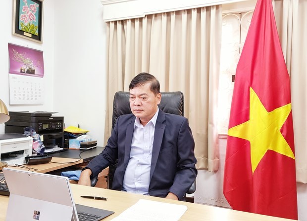 越南经济数字化转型和各领域发展机遇研讨会在线上举行 hinh anh 2