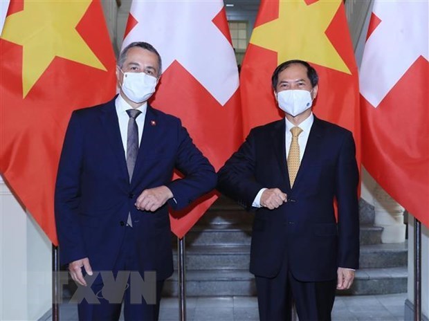 越南外交部部长裴青山与瑞士副总统兼外长卡西斯举行会谈 hinh anh 1