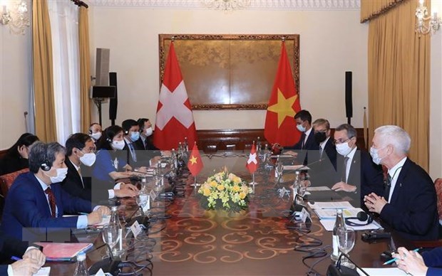 越南外交部部长裴青山与瑞士副总统兼外长卡西斯举行会谈 hinh anh 2