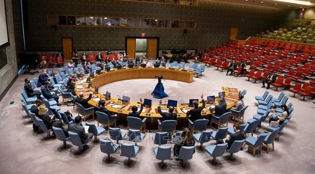 越南与联合国安理会：越南重申谴责使用化学武器的立场 hinh anh 1