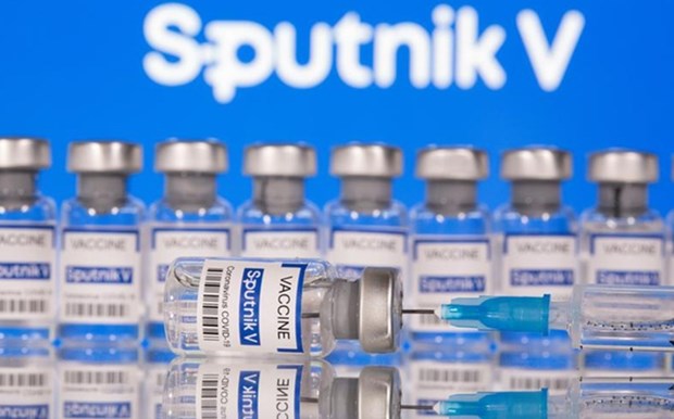 政府总理指示卫生部协助企业采购新冠疫苗 hinh anh 1