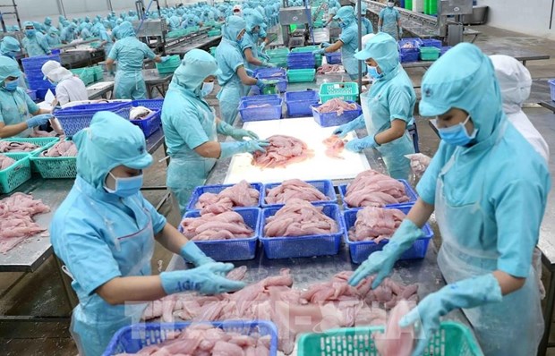 IUU“黄牌”警告对越南渔业造成影响报告亮相 hinh anh 1