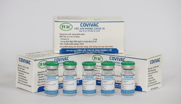 越南新冠疫苗Covivac二期临床试验启动 hinh anh 1