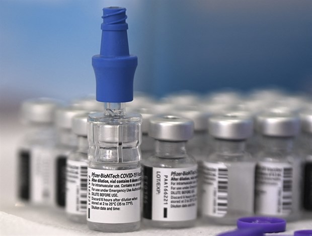 越南将在本周收到近21.8万剂辉瑞疫苗 hinh anh 1