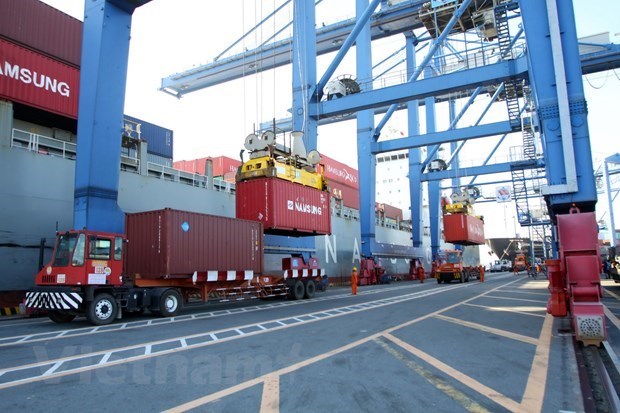 采取有效措施 努力克服吉莱港的货物拥堵问题 hinh anh 1