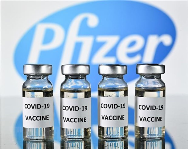 政府批准追加购买近2000万剂辉瑞新冠疫苗 hinh anh 1