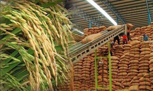 泰国大米价格创两年来新低 hinh anh 1