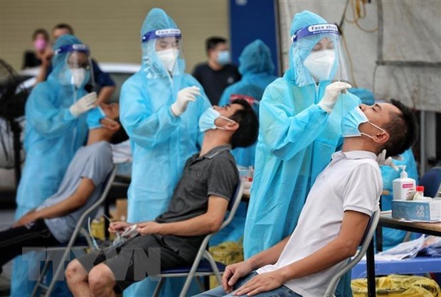 越南在过去24小时新增8656例新冠肺炎确诊病例 累计确诊突破30万 hinh anh 1