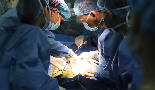 越南首次成功为肝癌晚期儿童进行肝移植手术 hinh anh 1