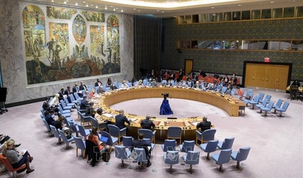 越南与联合国安理会：越南呼吁加强国际合作 应对恐怖主义危机 hinh anh 1