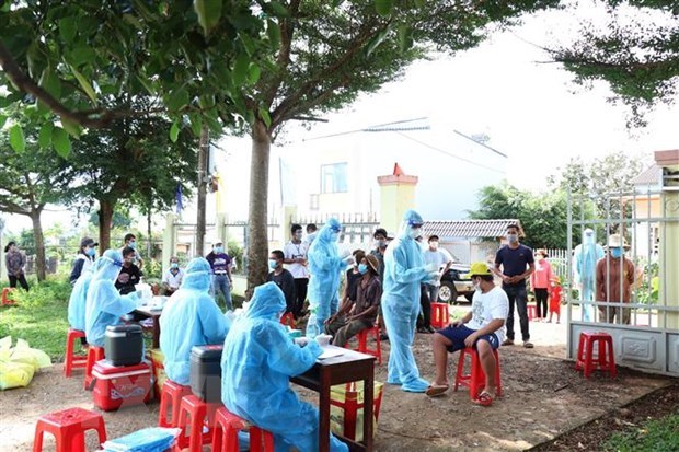 8月23日越南报告新增确诊病例超1万例 新增治愈病例近7000例 hinh anh 1