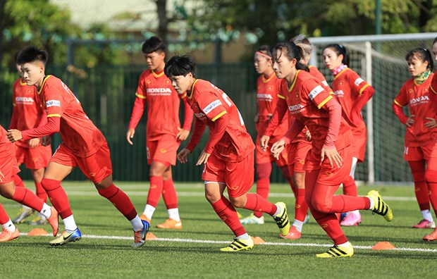 FIFA最新排名：越南女足仍保持东南亚首位 hinh anh 1