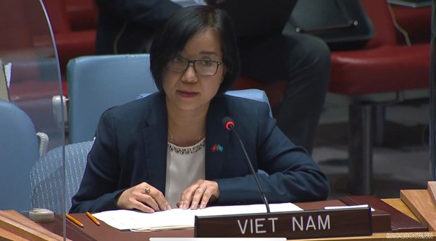 越南与联合国安理会：越南提议联合国和国际社会助力埃塞俄比亚战胜政治危机 hinh anh 1
