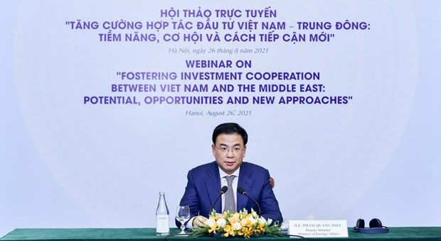 加强越南和中东地区之间的投资与合作 hinh anh 2