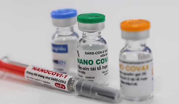新冠肺炎疫情：以循序渐进方式审议Nanocovax疫苗流通许可证 hinh anh 1