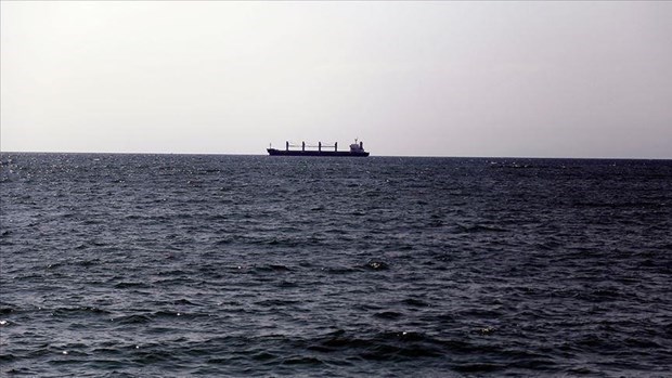 韩国寻找海上失踪的越南船员 hinh anh 1