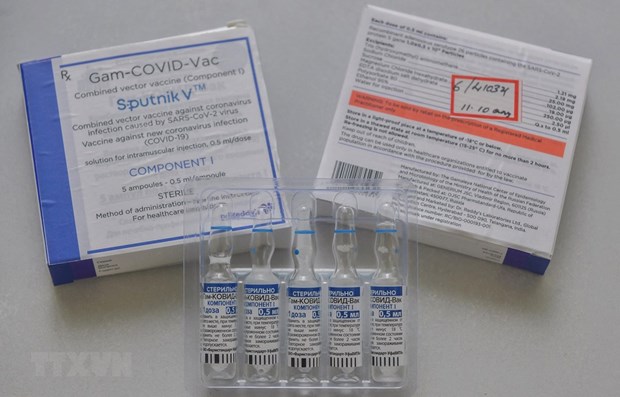 旅俄越南人采取新方式来捐助国内新冠疫苗基金 hinh anh 1