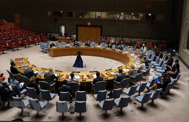 越南与联合国安理会：联合国安理会完成八月议程 hinh anh 1