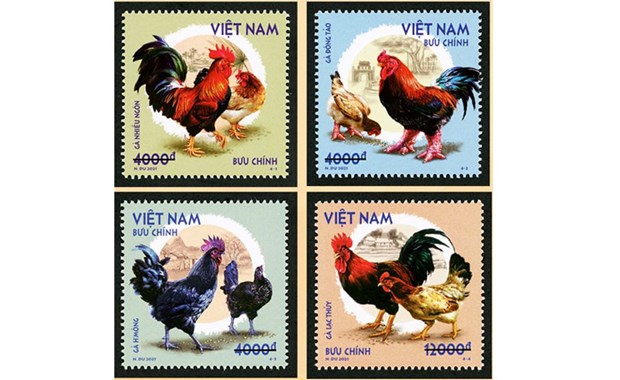越南邮政发行“越南本土鸡”邮票一套四枚 hinh anh 1