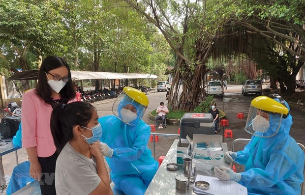 日本继续向越南、泰国和中国台湾提供疫苗援助 hinh anh 1