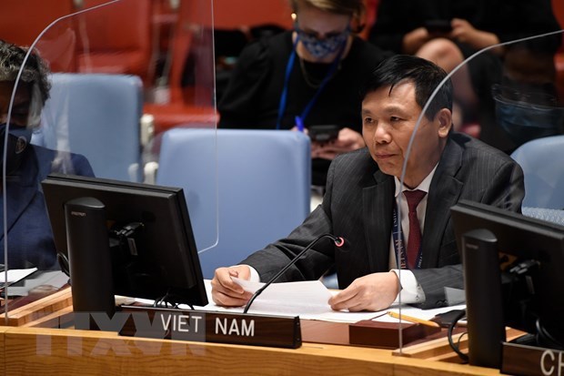 越南与联合国安理会：越南强化国际法在解决全球性挑战中的作用 hinh anh 1