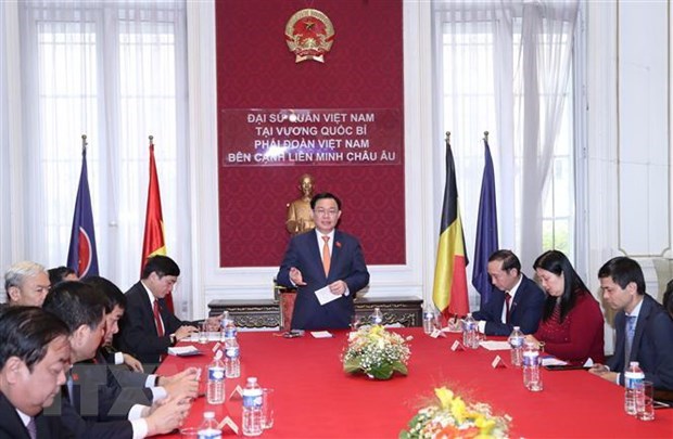王廷惠会见驻比利时大使馆工作人员和在比越南人代表 hinh anh 2