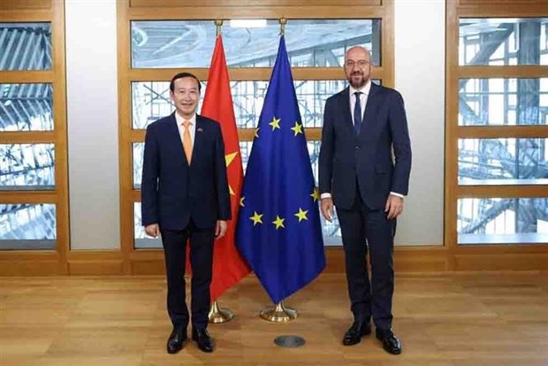 比利时和欧盟愿进一步加强与越南的关系 hinh anh 1