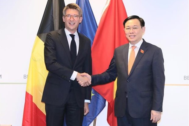 越南国会主席王廷惠会见比利时副首相 hinh anh 1