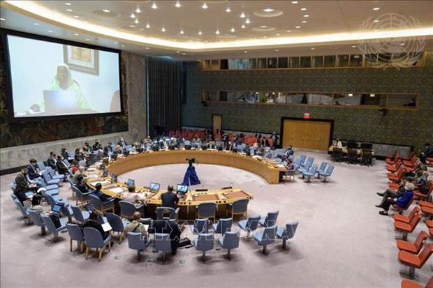 越南与联合国安理会：越南强调利比亚按时举行选举的重要性 hinh anh 1